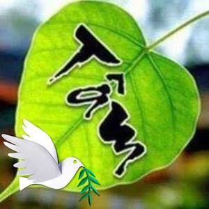 Meet your Posher, Bachlanly